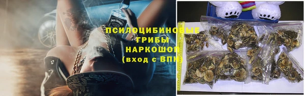 spice Алексеевка