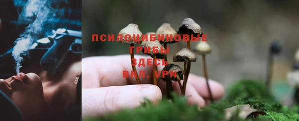 а пвп мука Майский